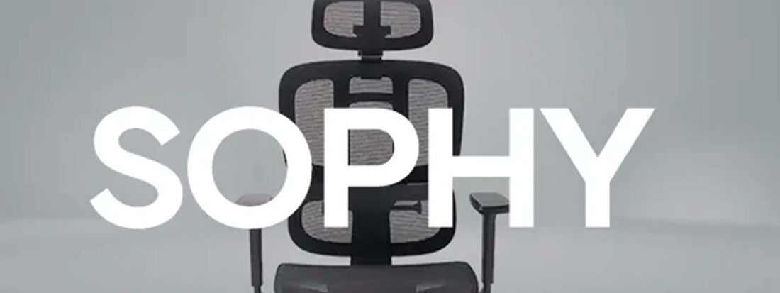De olho nas cadeiras: Sophy